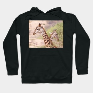 Giraffe Couple Hoodie